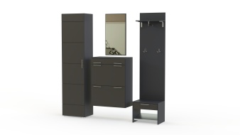 Прихожая Гана BMS