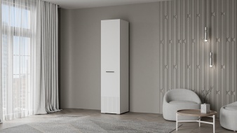 Шкаф распашной Декарт 1 BMS по индивидуальному заказу