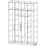 Шкаф распашной Остин Лайт 6 BMS