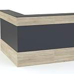 Ресепшен Рейна №14 BMS - Фото 5